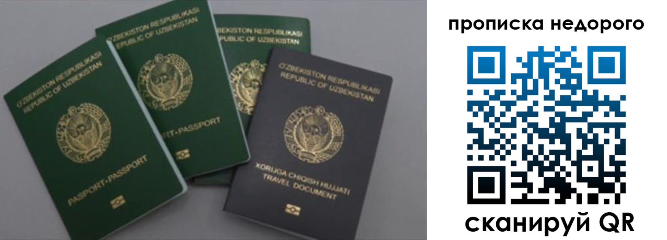 регистрация для школы в Светлограде